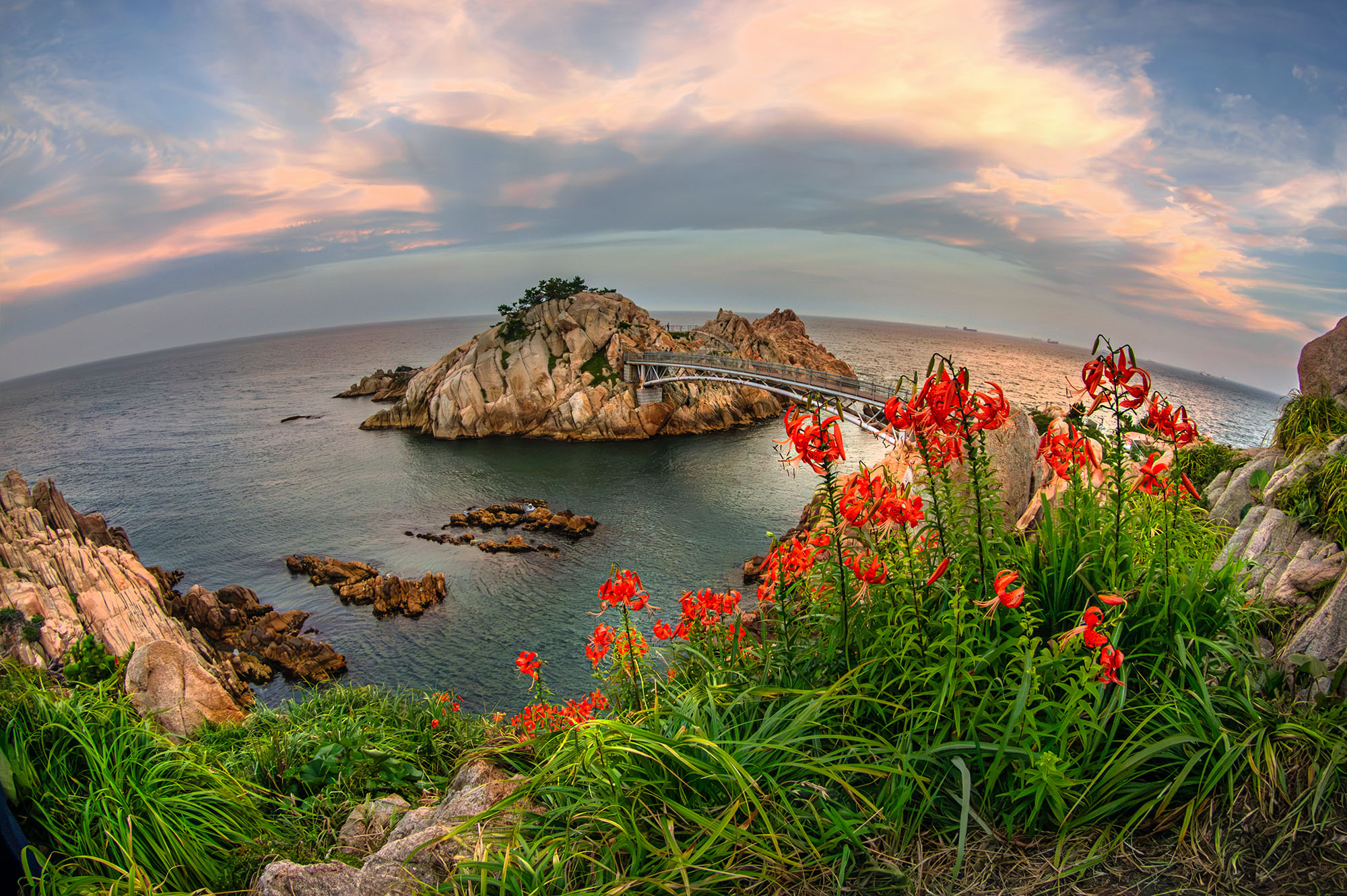 _IGP8373 - 1 - 1.jpg
