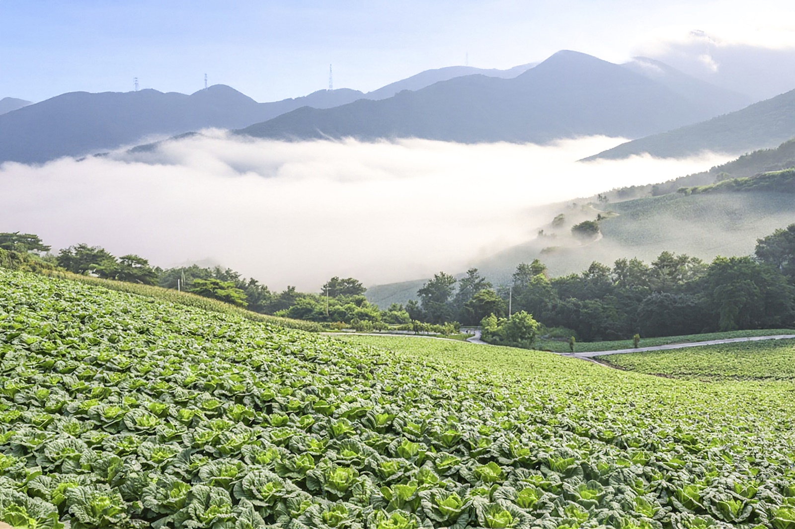 _DSC4879 복사.jpg