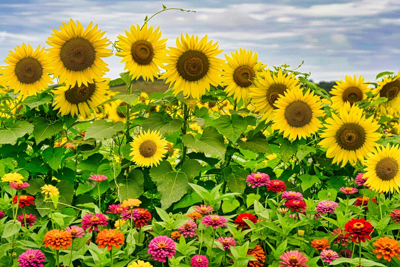 _DSC5398 복사_edited.jpg