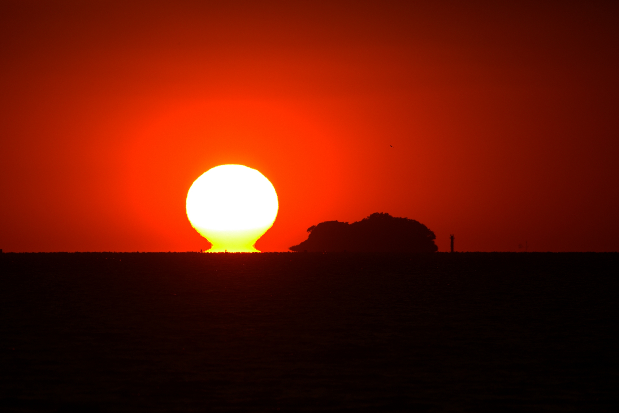 CY8A8916.jpg