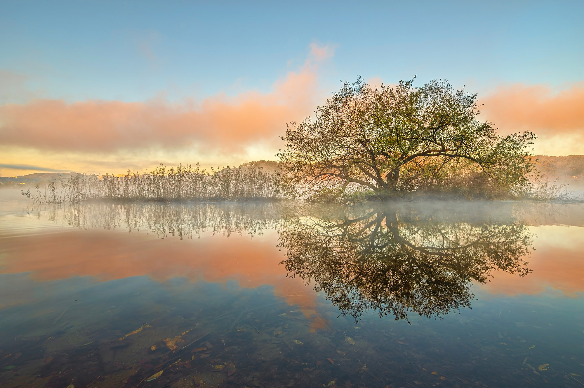_DSC5074 - 1 - 1.jpg