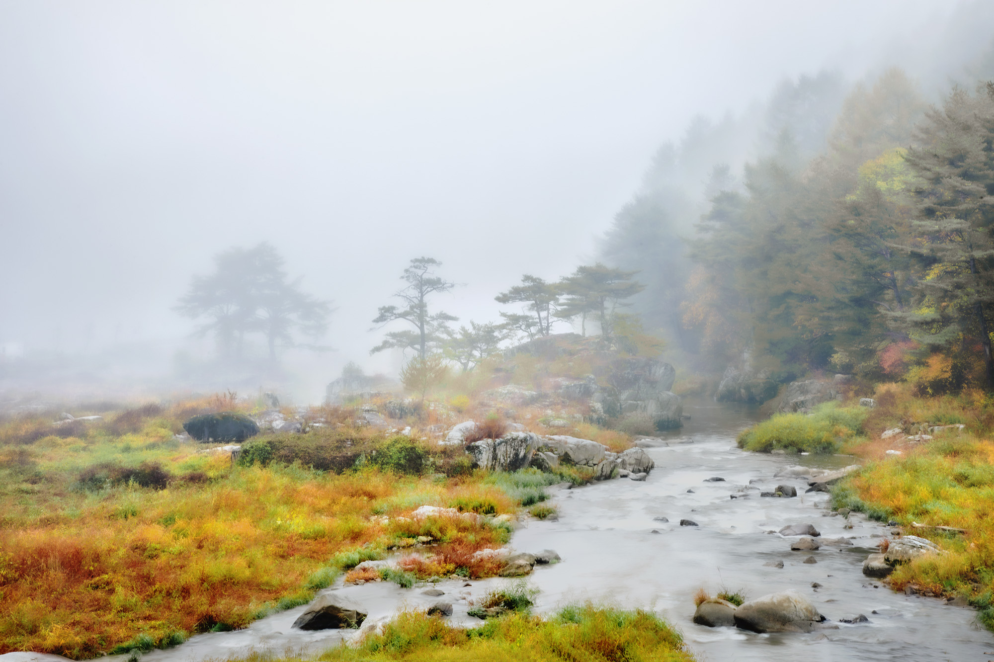 _DSC4697 - 1 - 1.jpg